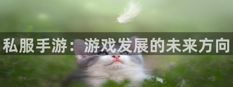 恒盛娱乐app