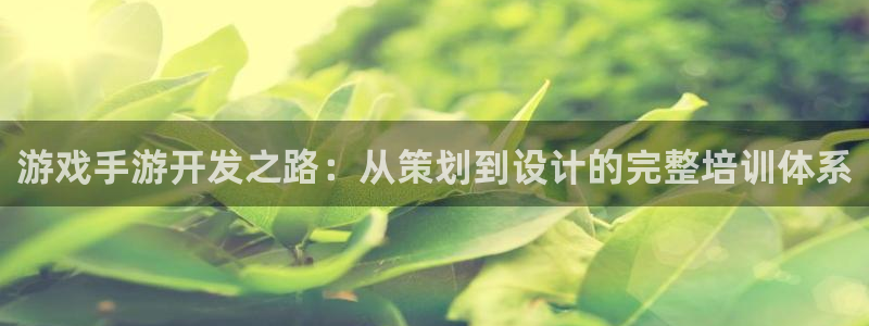 恒盛娱乐注册：游戏手游开发之路：从策划到设计的完整培训体系