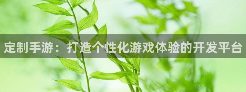恒盛娱乐：定制手游：打造个性化游戏体验的开发平台