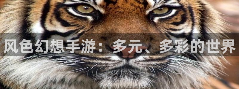 恒盛娱乐下载：风色幻想手游：多元、多彩的世界