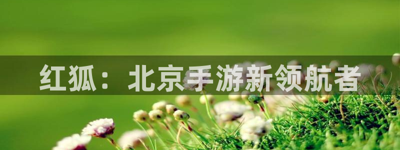 恒盛娱乐平台：红狐：北京手游新领航者