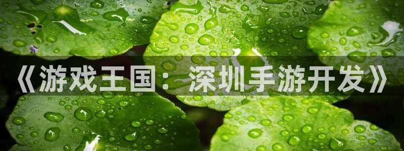 恒盛娱乐登录：《游戏王国：深圳手游开发》