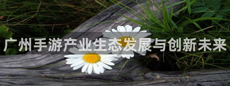 恒盛娱乐平台：广州手游产业生态发展与创新未来