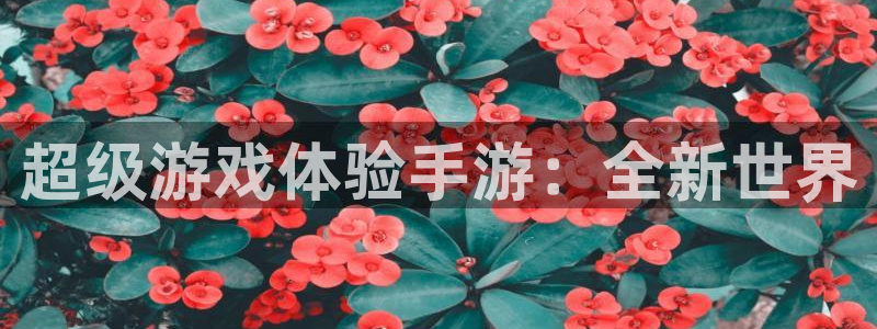 恒盛娱乐平台：超级游戏体验手游：全新世界