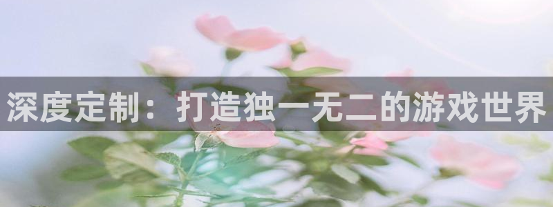 恒盛娱乐登录：深度定制：打造独一无二的游戏世界