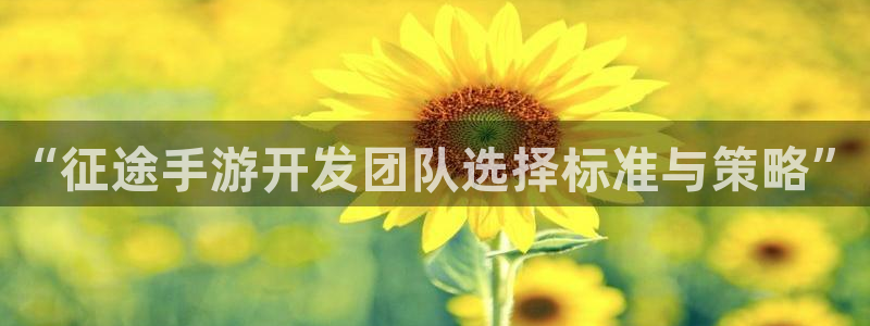 恒盛娱乐平台：“征途手游开发团队选择标准与策略”
