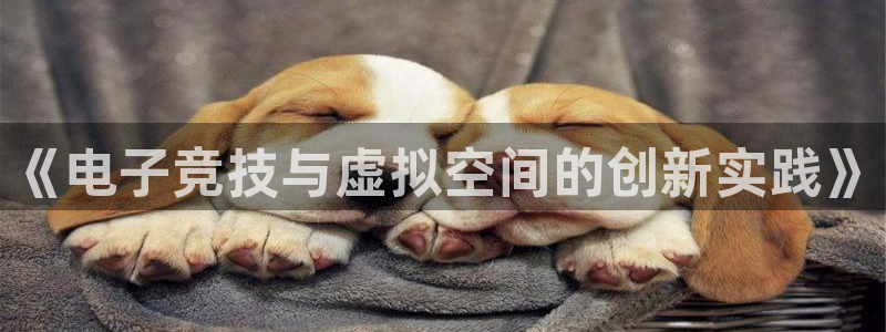 恒盛娱乐平台：《电子竞技与虚拟空间的创新实践》