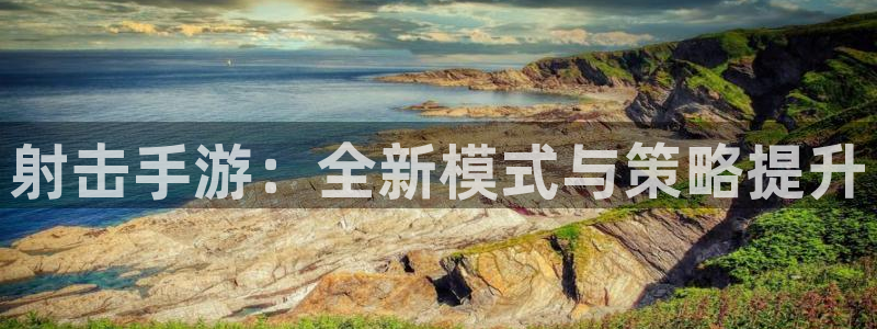 恒盛娱乐下载：射击手游：全新模式与策略提升