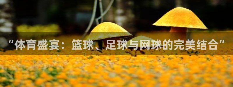 xc体育app官方网站