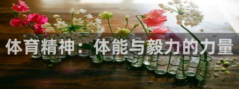 xc体育