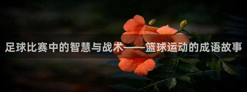 xc体育：足球比赛中的智慧与战术——篮球运动的成语故事