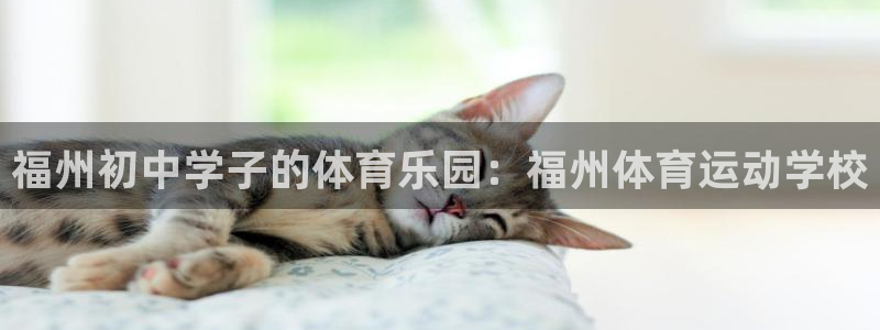 xc体育app官方网站：福州初中学子的体育乐园：福州体育运动学校