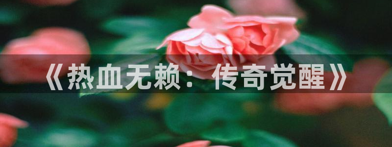 恒盛娱乐app：《热血无赖：传奇觉醒》